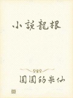 小说龙根