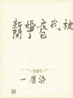 新婚夜我被伴郎开了包封面