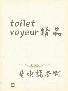 toilet voyeur精品
