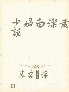 少妇白洁黄色小说封面