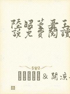 陆昭菱晋王的小说免费阅读