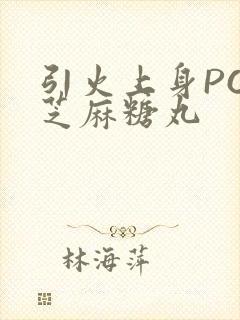 引火上身POP芝麻糖丸