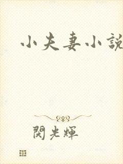 小夫妻小说