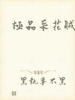 极品采花贼