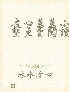 夜心万万小说完整免费阅读全文