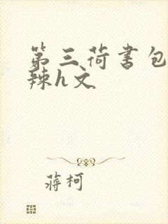 第三荷书包网高辣h文