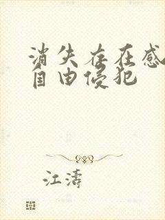 消失存在感消失自由侵犯