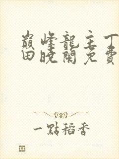 巅峰龙主丁长顺田晓兰免费阅读