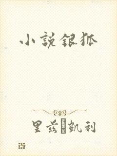 小说银狐