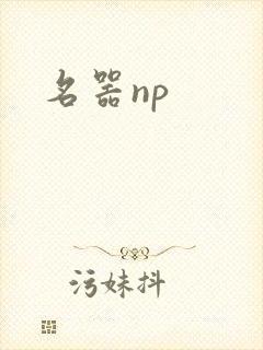 名器np