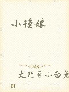 小后娘封面