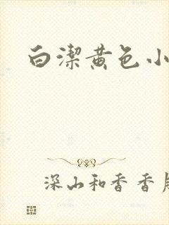 白洁黄色小说