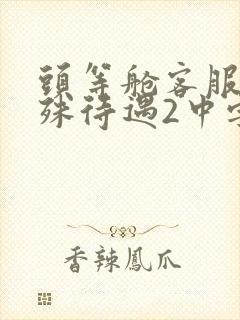 头等舱客服的特殊待遇2中字