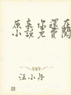 原来你还在这里小说免费阅读