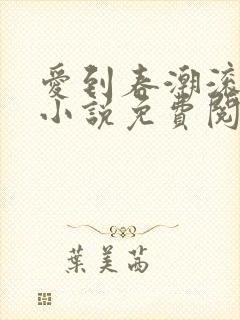 爱到春潮滚滚来小说免费阅读