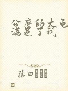 公么的大龟强大满足了我