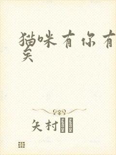 猫咪有你有我足矣