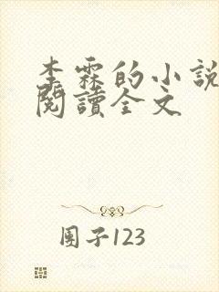 李霖的小说免费阅读全文