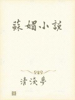 苏媚小说
