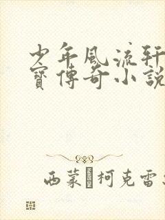 少年风流轩辕大宝传奇小说