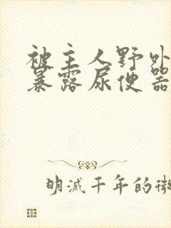 被主人野外调教暴露尿便器