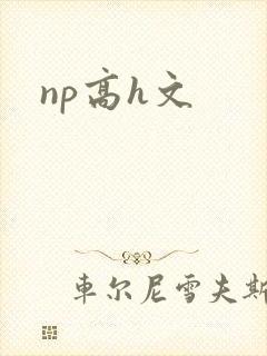 np高h文