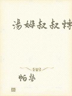 汤姆叔叔转接口