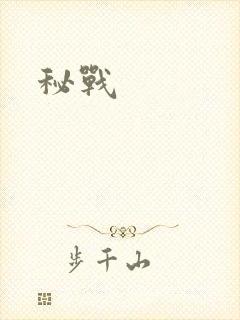 秘战
