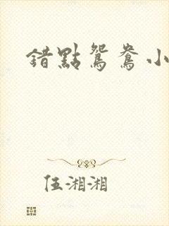错点鸳鸯小说