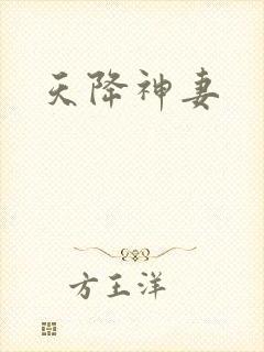 天降神妻