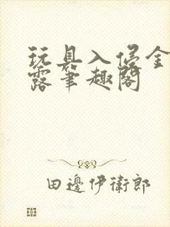 玩具入侵金银花露笔趣阁封面