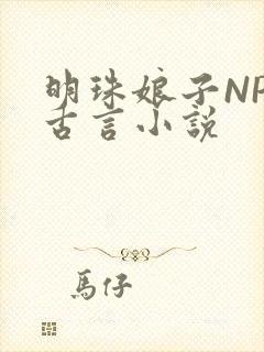 明珠娘子NPC古言小说