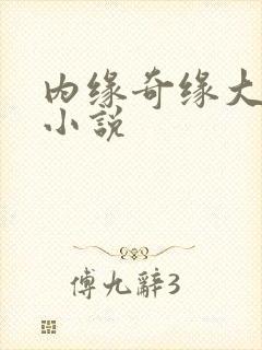 内缘奇缘大团圆小说
