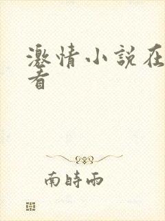 激情小说在线观看