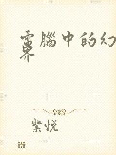 《电脑中的幻想世界》小说封面