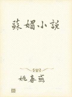 苏媚小说