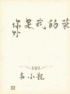 你是我的荣耀番外