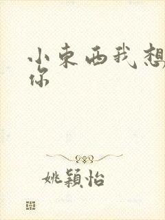 小东西我想弄坏你