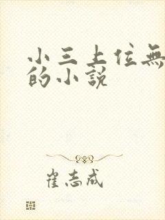 小三上位无三观的小说