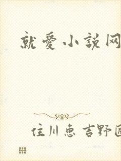 就爱小说网