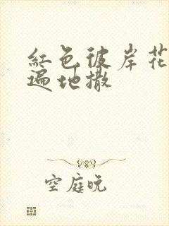 红色彼岸花花瓣遍地撒