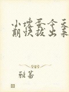 小坏蛋今天危险期快拔出来