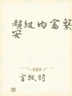 超级肉禽系统保安封面