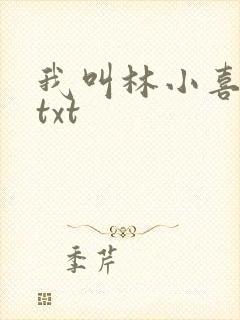我叫林小喜小说txt