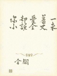 你却爱着一个他小说全文未删减免费