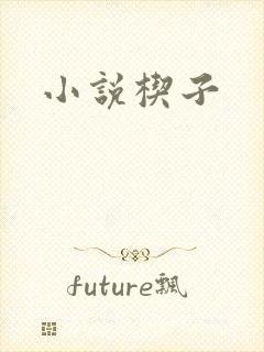 小说楔子