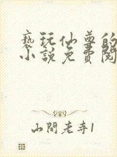 亵玩仙尊的道侣小说免费阅读