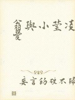 翁与小莹凌晨欢爱