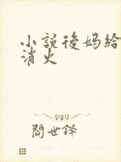 小说后妈给我消消火