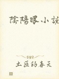 阴阳眼小说